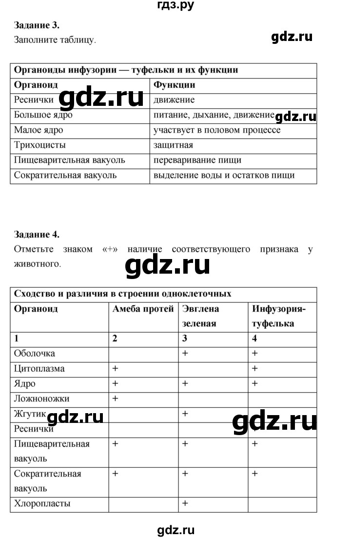 ГДЗ по биологии 7 класс Суматохин рабочая тетрадь (Константинов)  тетрадь №1. страница - 31, Решебник 2015