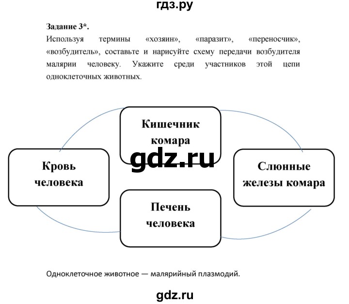 ГДЗ по биологии 7 класс Суматохин рабочая тетрадь (Константинов)  тетрадь №1. страница - 35, Решебник 2015