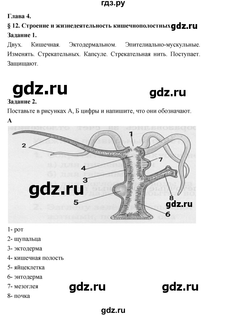 ГДЗ по биологии 7 класс Суматохин рабочая тетрадь (Константинов)  тетрадь №1. страница - 38, Решебник 2015