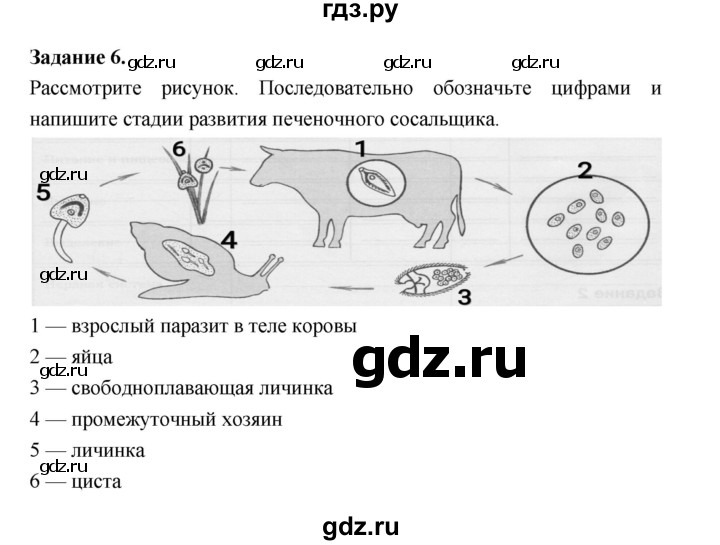 ГДЗ по биологии 7 класс Суматохин рабочая тетрадь (Константинов)  тетрадь №1. страница - 53, Решебник 2015