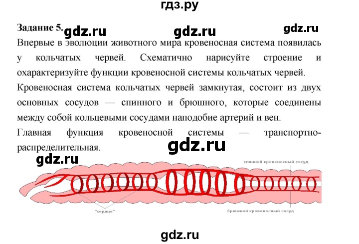 ГДЗ по биологии 7 класс Суматохин рабочая тетрадь (Константинов)  тетрадь №1. страница - 59, Решебник 2015