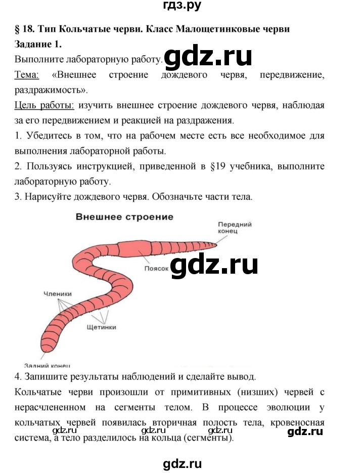 ГДЗ по биологии 7 класс Суматохин рабочая тетрадь (Константинов)  тетрадь №1. страница - 59, Решебник 2015