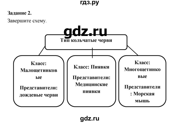 ГДЗ по биологии 7 класс Суматохин рабочая тетрадь (Константинов)  тетрадь №1. страница - 60, Решебник 2015