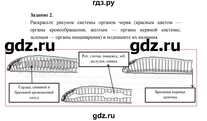 ГДЗ по биологии 7 класс Суматохин рабочая тетрадь (Константинов)  тетрадь №1. страница - 63, Решебник 2015