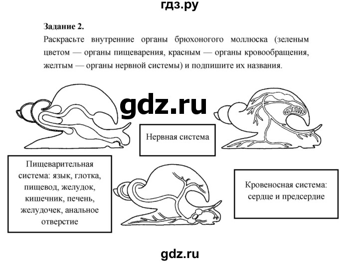 ГДЗ по биологии 7 класс Суматохин рабочая тетрадь (Константинов)  тетрадь №1. страница - 69, Решебник 2015