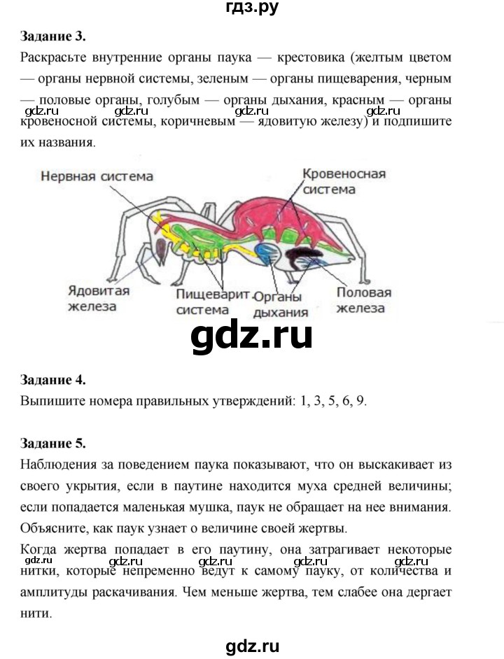 ГДЗ по биологии 7 класс Суматохин рабочая тетрадь (Константинов)  тетрадь №1. страница - 85, Решебник 2015