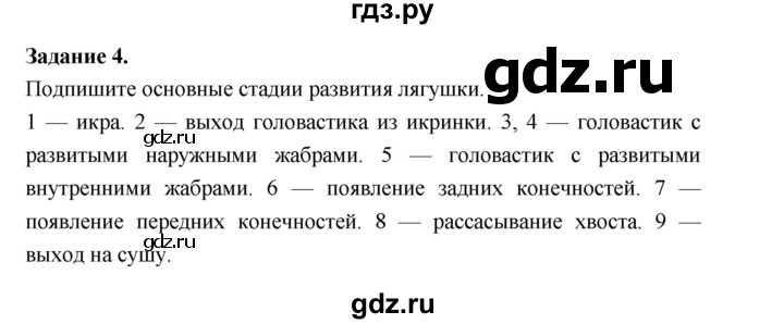 ГДЗ по биологии 7 класс Суматохин рабочая тетрадь (Константинов)  тетрадь №2. страница - 22, Решебник 2015