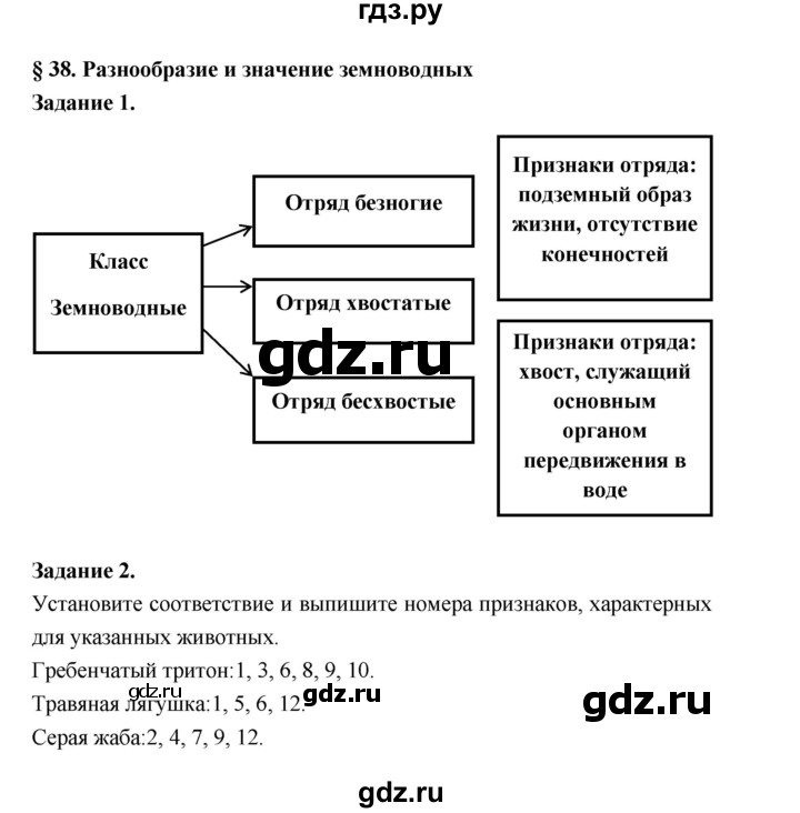 ГДЗ по биологии 7 класс Суматохин рабочая тетрадь (Константинов)  тетрадь №2. страница - 24, Решебник 2015