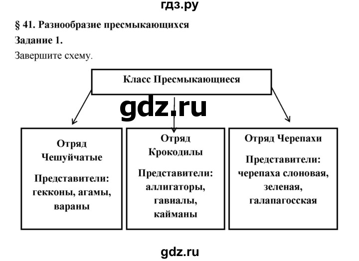 ГДЗ по биологии 7 класс Суматохин рабочая тетрадь (Константинов)  тетрадь №2. страница - 34, Решебник 2015