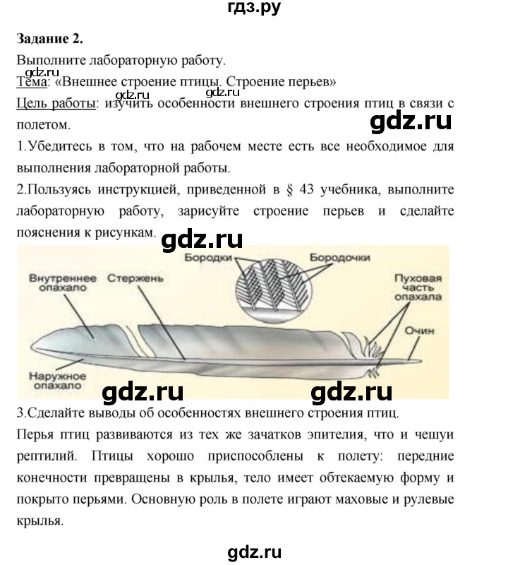 ГДЗ по биологии 7 класс Суматохин рабочая тетрадь (Константинов)  тетрадь №2. страница - 43, Решебник 2015