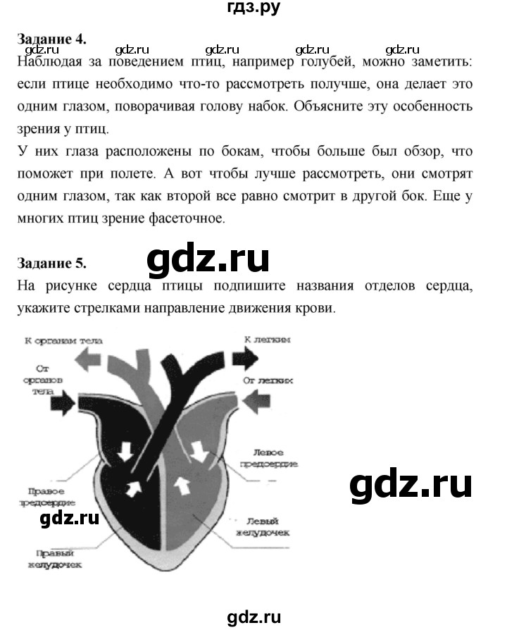 ГДЗ по биологии 7 класс Суматохин рабочая тетрадь (Константинов)  тетрадь №2. страница - 50, Решебник 2015