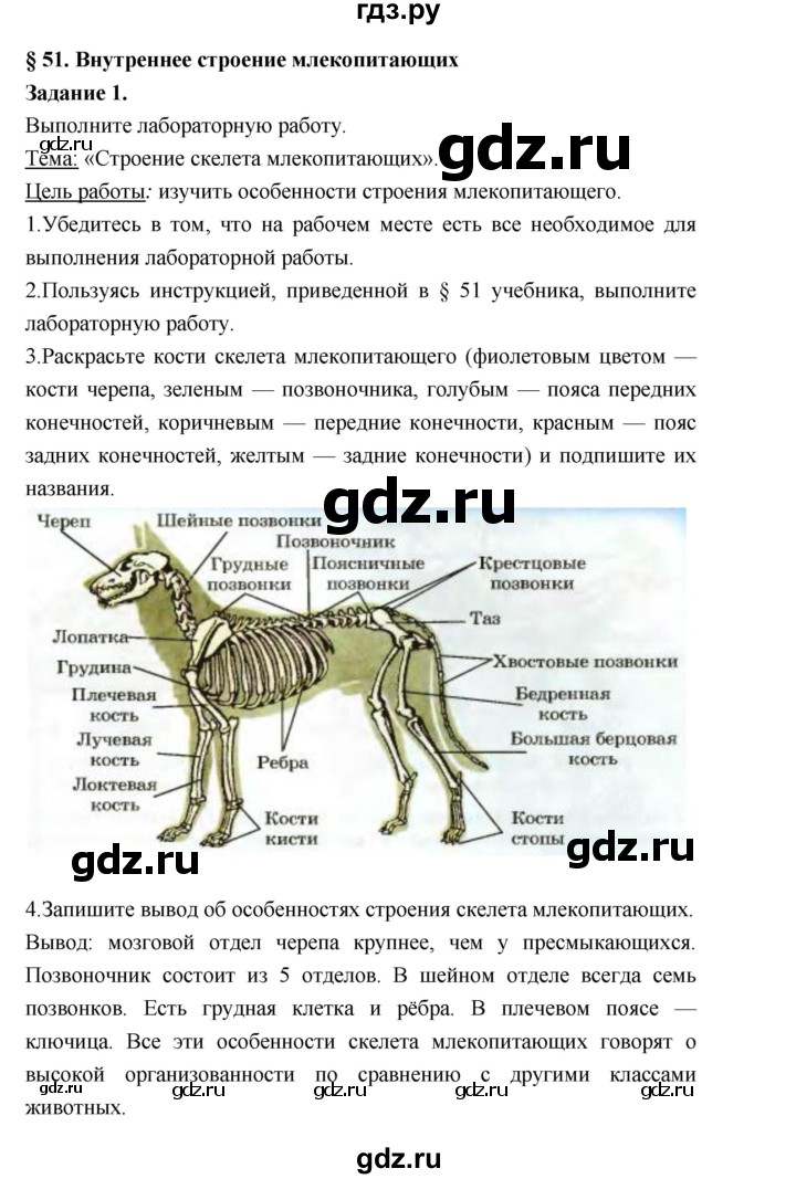 ГДЗ по биологии 7 класс Суматохин рабочая тетрадь (Константинов)  тетрадь №2. страница - 70, Решебник 2015