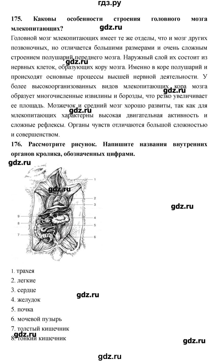 ГДЗ по биологии 8 класс Захаров рабочая тетрадь  страница - 115–124, Решебник