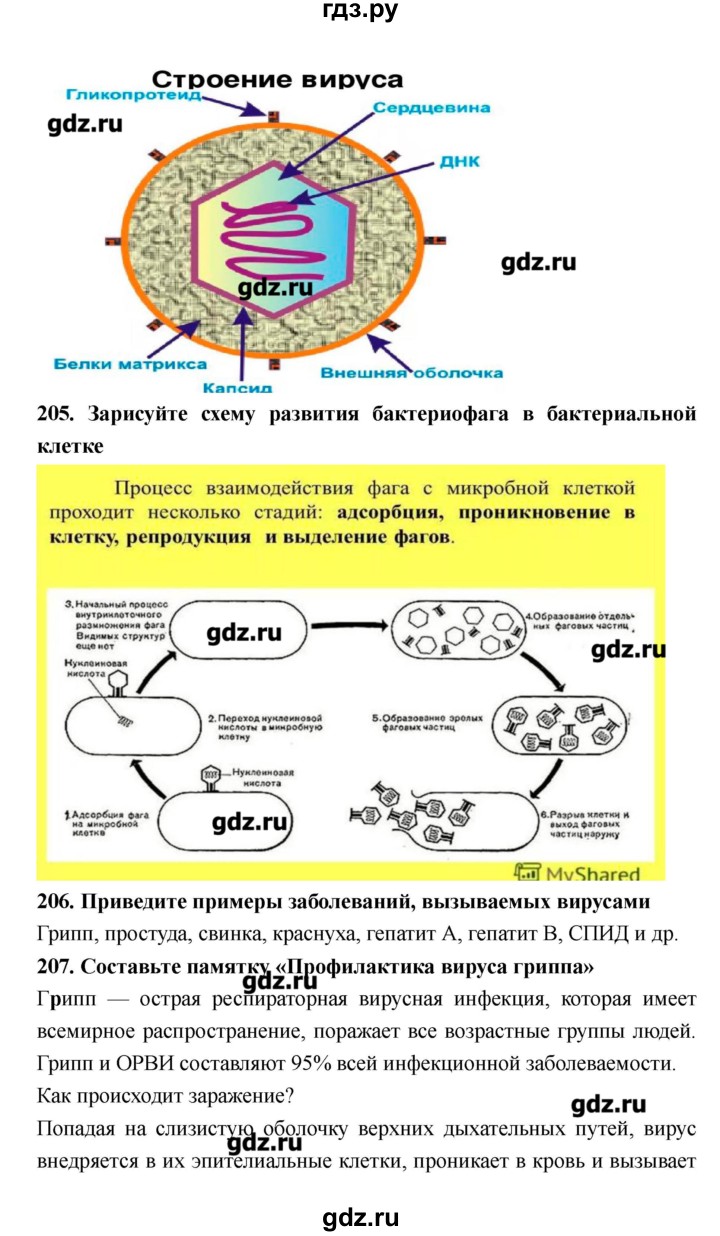 ГДЗ по биологии 8 класс Захаров рабочая тетрадь  страница - 132–133, Решебник