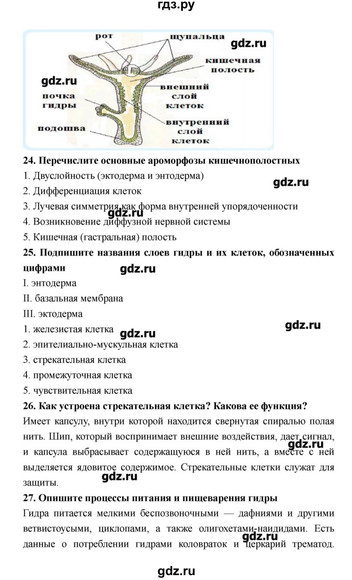 ГДЗ по биологии 8 класс Захаров рабочая тетрадь  страница - 18–23, Решебник