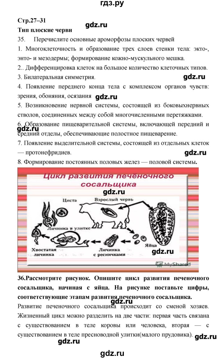 ГДЗ по биологии 8 класс Захаров рабочая тетрадь  страница - 27–31, Решебник