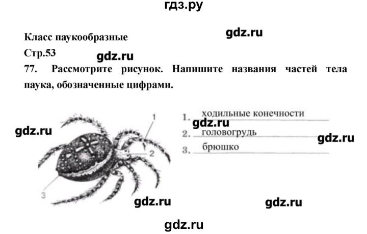 ГДЗ по биологии 8 класс Захаров рабочая тетрадь  страница - 53, Решебник