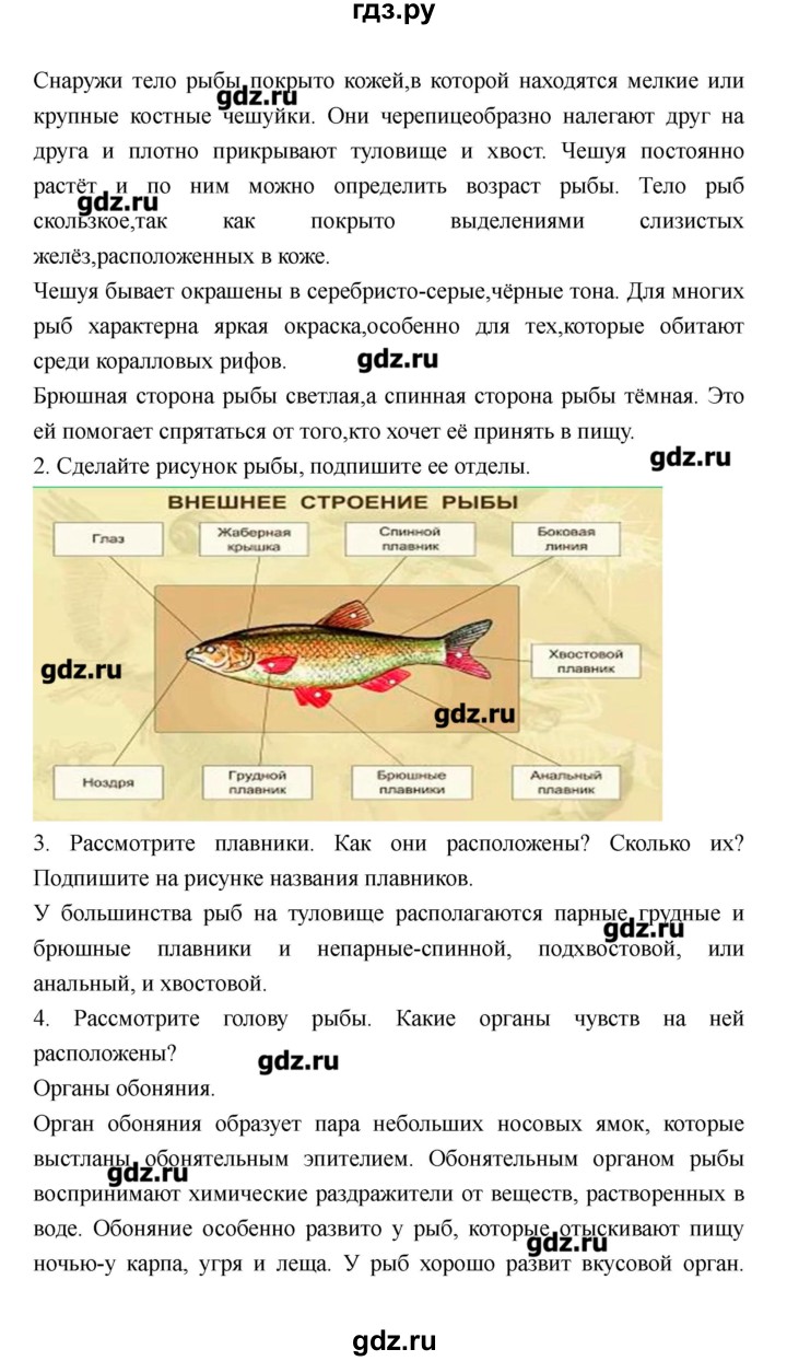 ГДЗ по биологии 8 класс Захаров рабочая тетрадь  страница - 68–77, Решебник
