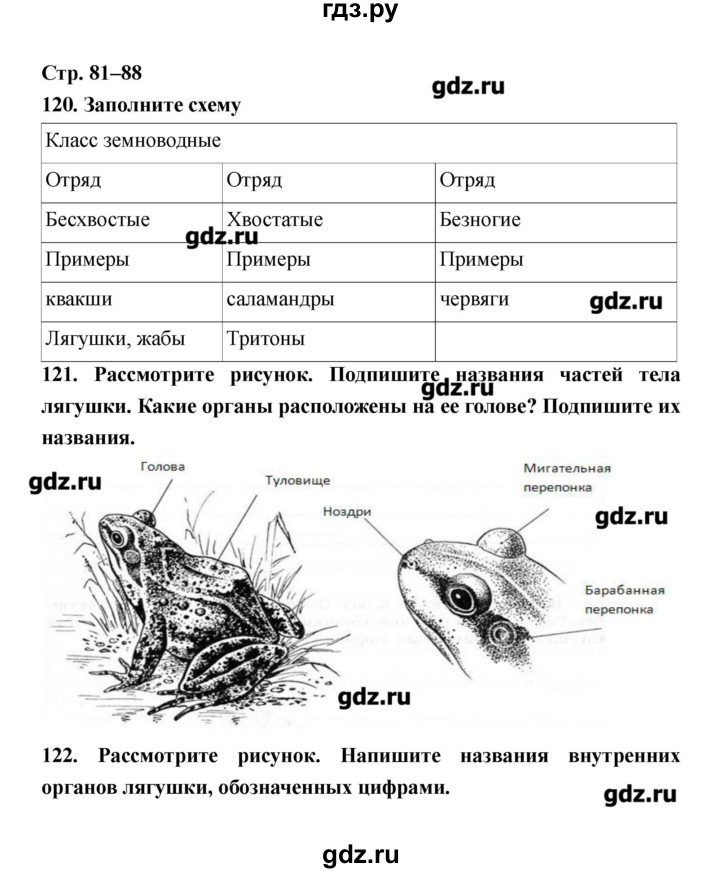 ГДЗ по биологии 8 класс Захаров рабочая тетрадь  страница - 81–88, Решебник