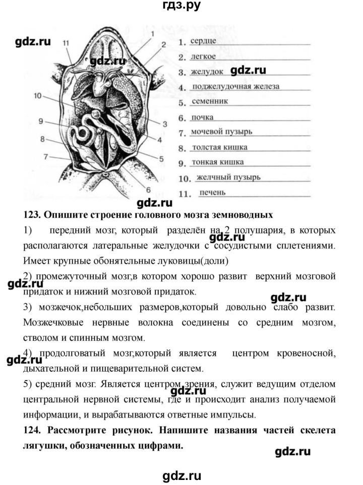 ГДЗ по биологии 8 класс Захаров рабочая тетрадь  страница - 81–88, Решебник