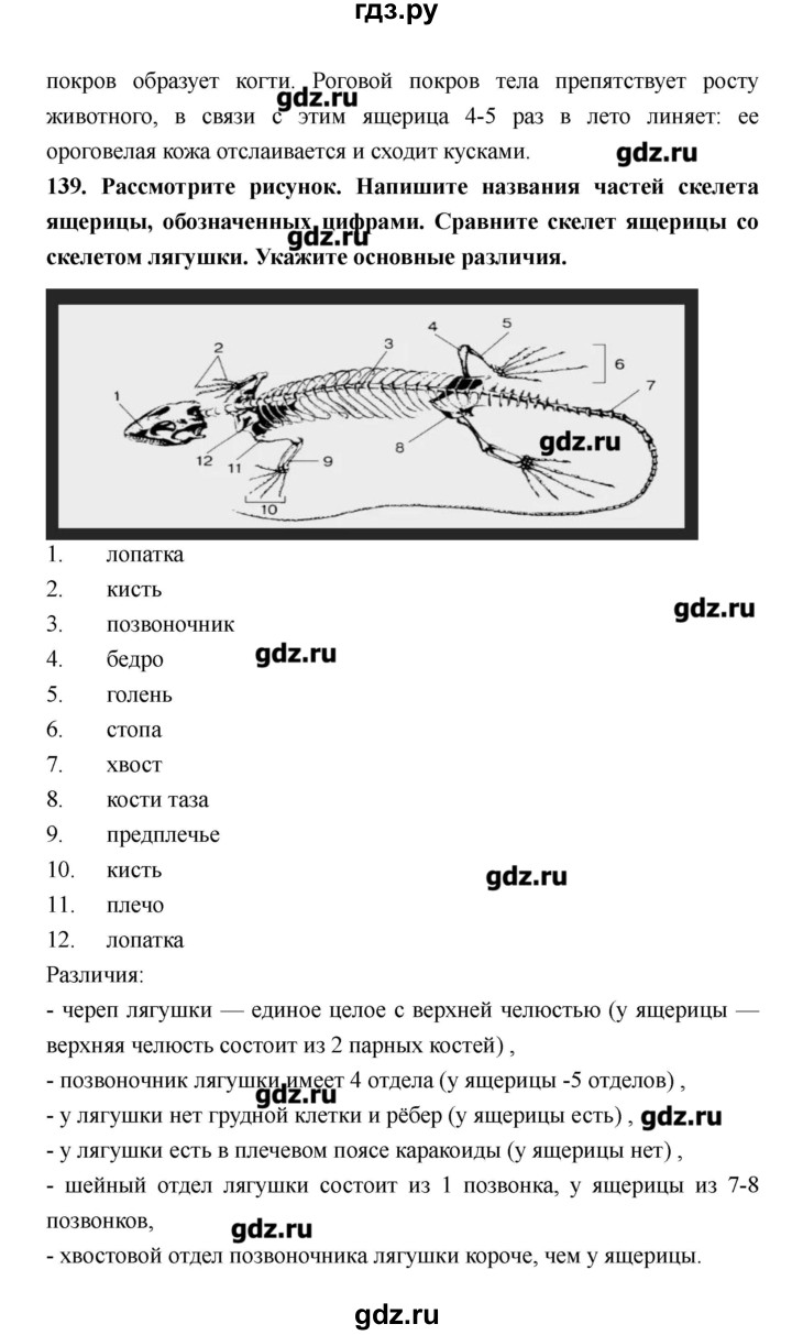ГДЗ по биологии 8 класс Захаров рабочая тетрадь  страница - 89–96, Решебник