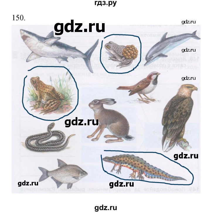 ГДЗ по биологии 5 класс Сонин рабочая тетрадь  упражнение - 150, Решебник