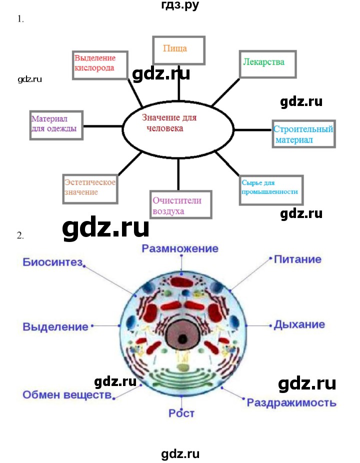 ГДЗ по биологии 6 класс Пономарева   страница - 27, Решебник