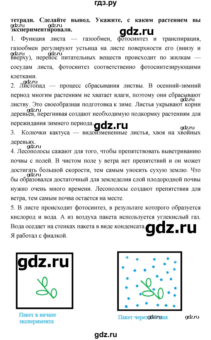 ГДЗ по биологии 6 класс Пономарева   страница - 53, Решебник