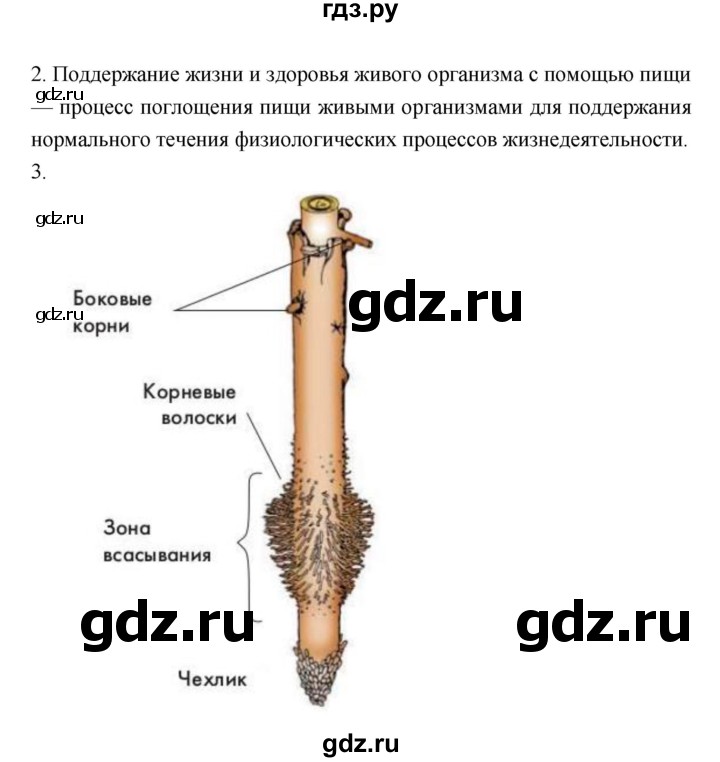 ГДЗ по биологии 6 класс Пономарева   страница - 74, Решебник