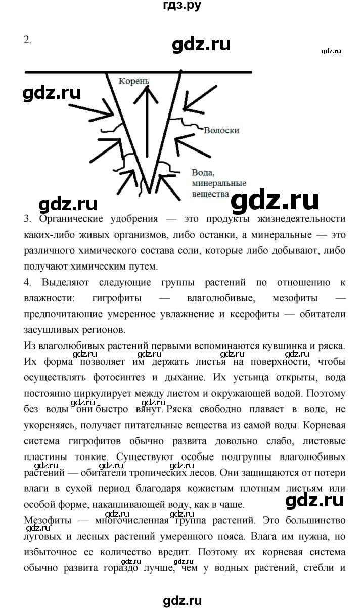 ГДЗ по биологии 6 класс Пономарева   страница - 77, Решебник