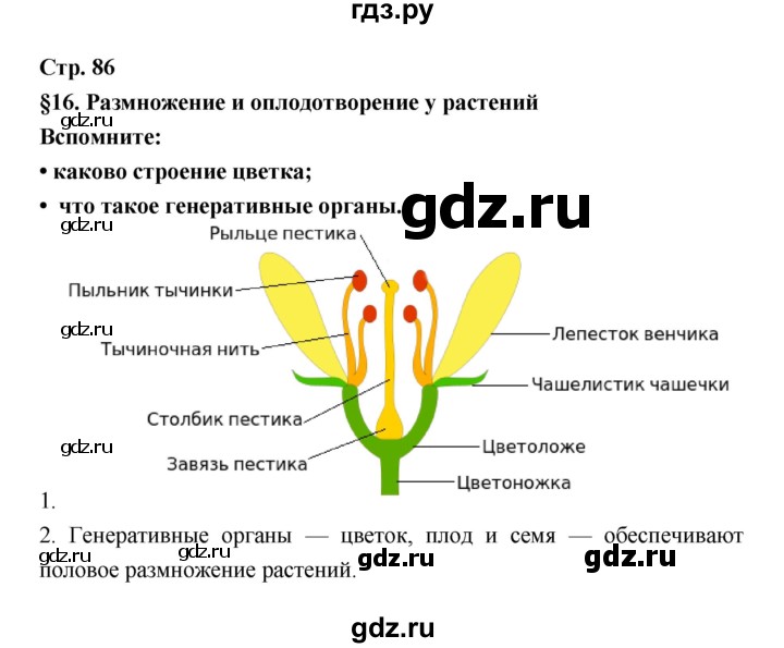 ГДЗ по биологии 6 класс Пономарева   страница - 86, Решебник