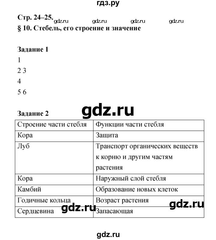 ГДЗ Часть 1 (Страница) 24 Биология 6 Класс Рабочая Тетрадь.