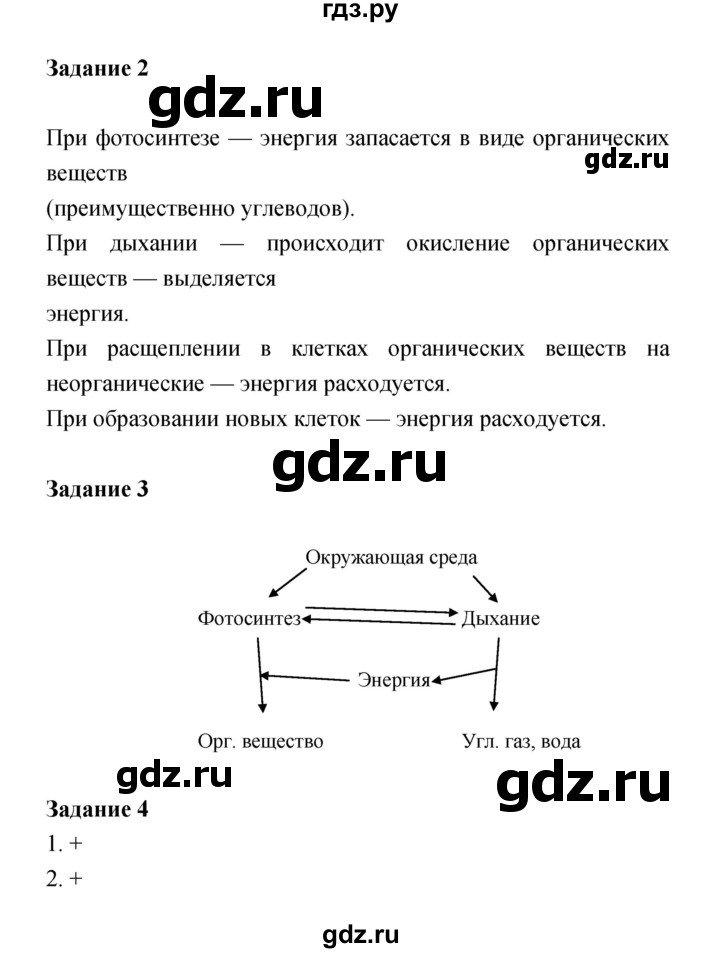 ГДЗ по биологии 6 класс Пономарева рабочая тетрадь  часть 1 (страница) - 37, Решебник