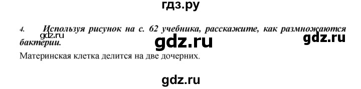 ГДЗ по биологии 5 класс  Сонин   §11 - 4, Решебник №1