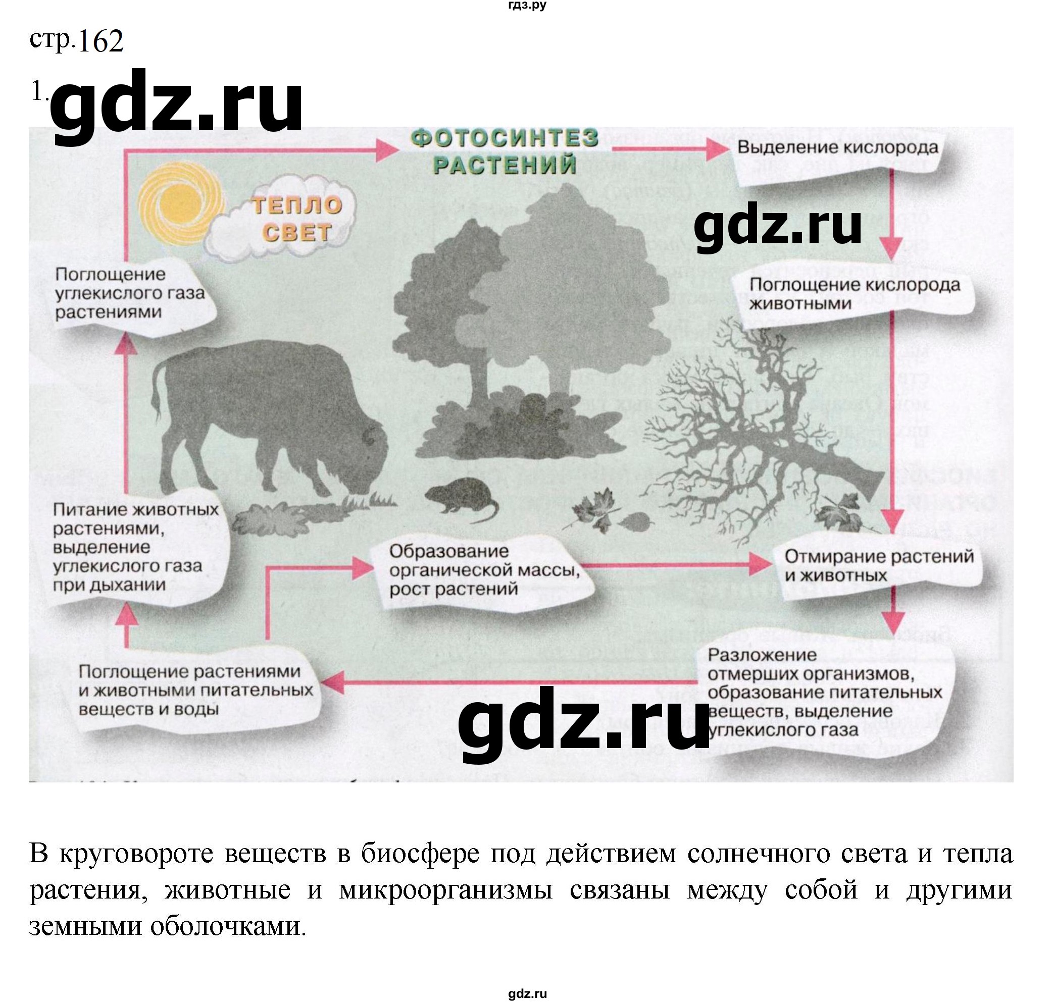 ГДЗ по географии 5‐6 класс Алексеев   страница - 162, Решебник к учебнику 2023