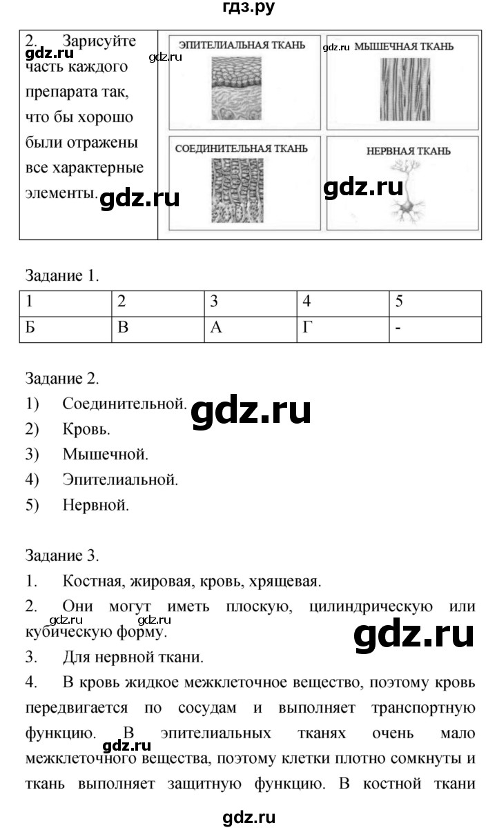 ГДЗ лабораторная работа 1 биология 7 класс тетрадь для лабораторных работ  Амахина