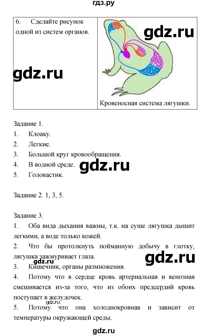 ГДЗ по биологии 7 класс  Амахина тетрадь для лабораторных работ  лабораторная работа - 11, Решебник