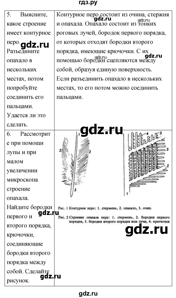 ГДЗ лабораторная работа 12 биология 7 класс тетрадь для лабораторных работ  Амахина