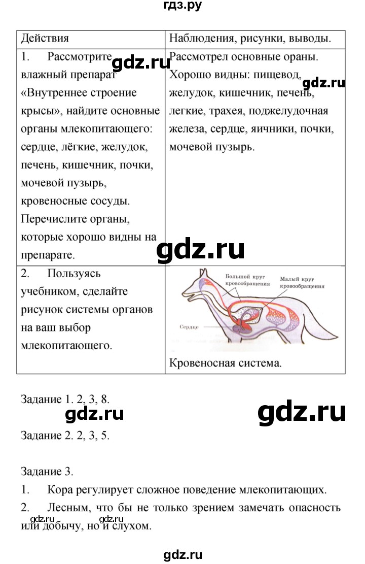 ГДЗ по биологии 7 класс  Амахина тетрадь для лабораторных работ  лабораторная работа - 13, Решебник