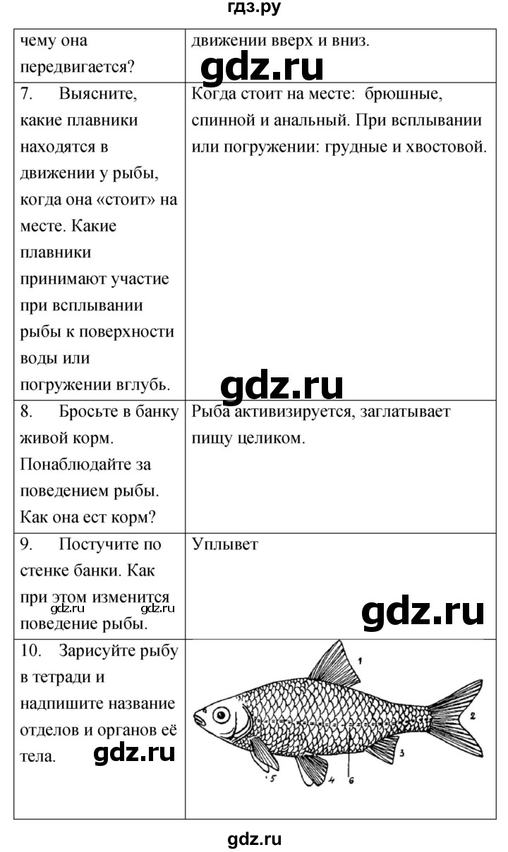 ГДЗ по биологии 7 класс  Амахина тетрадь для лабораторных работ  лабораторная работа - 8, Решебник