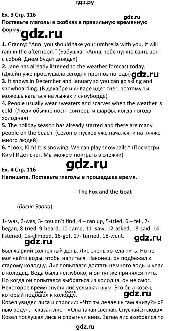ГДЗ по английскому языку 5 класс Несвит   страница - 116, Решебник
