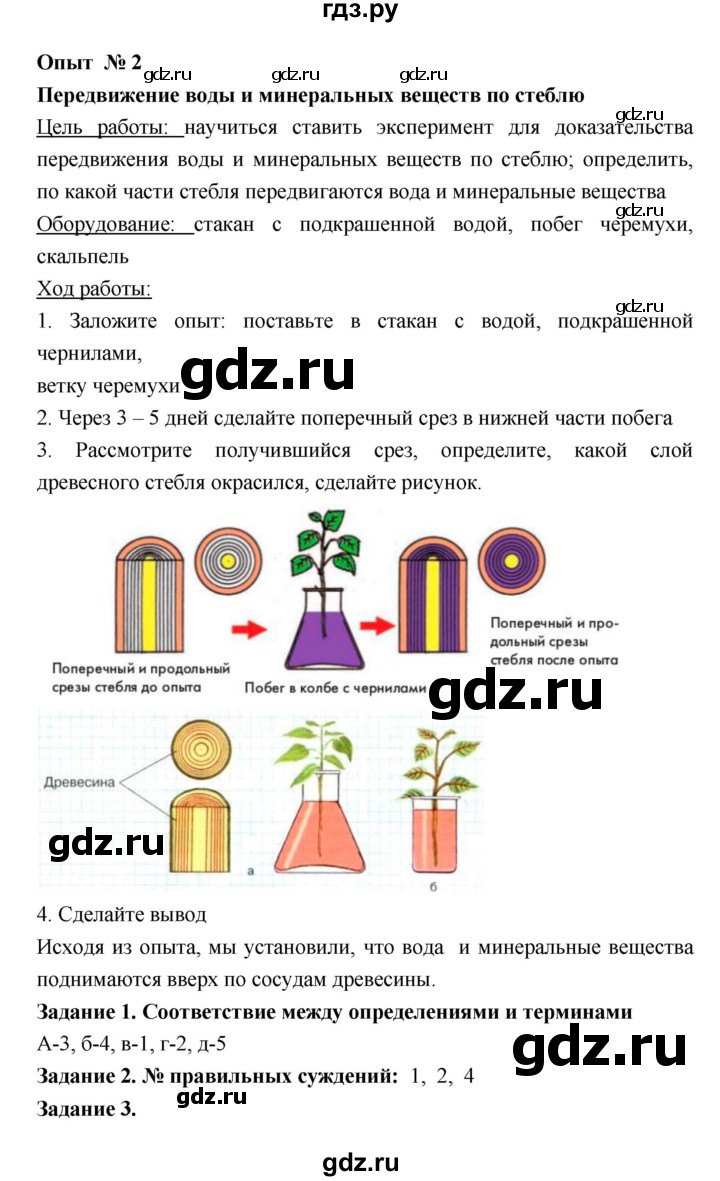 ГДЗ по биологии 6 класс Амахина тетрадь для лабораторных работ  опыт - 2, Решебник