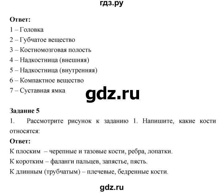 ГДЗ по биологии 8 класс Маш рабочая тетрадь (Драгомилов)  часть 1 (страница) - 20, Решебник к тетради 2018