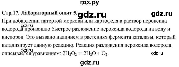 ГДЗ по химии 9 класс Габриелян  Базовый уровень §2 - Лабораторный опыт 5, Решебник 2024