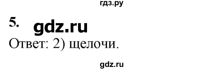 ГДЗ по химии 9 класс Габриелян  Базовый уровень §40 - 5, Решебник 2024