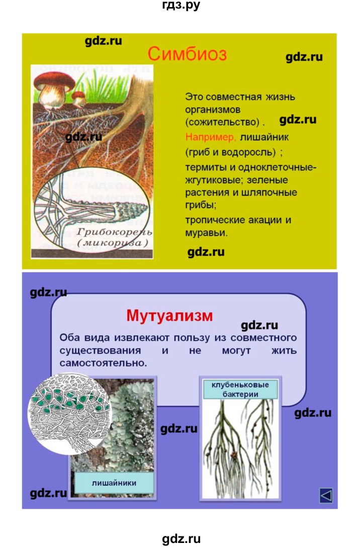 ГДЗ по биологии 9 класс Пономарева рабочая тетрадь  страница - 128, Решебник