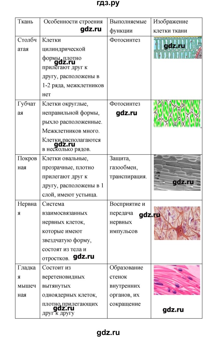 ГДЗ по биологии 9 класс Пономарева рабочая тетрадь  страница - 17, Решебник