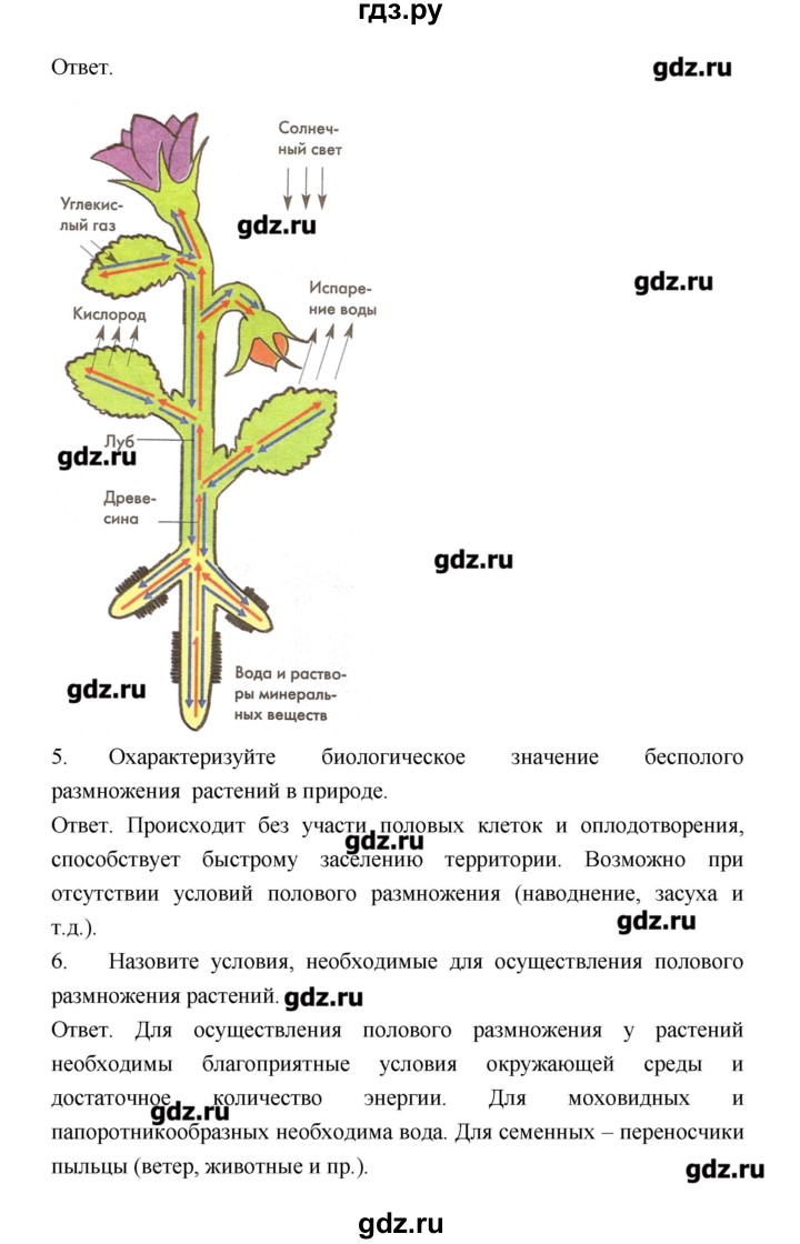 ГДЗ по биологии 9 класс Пономарева рабочая тетрадь  страница - 41, Решебник