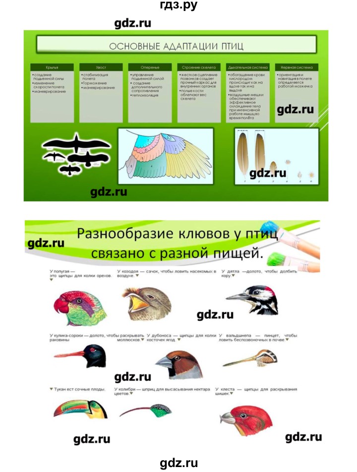 ГДЗ по биологии 9 класс Пономарева рабочая тетрадь  страница - 96, Решебник
