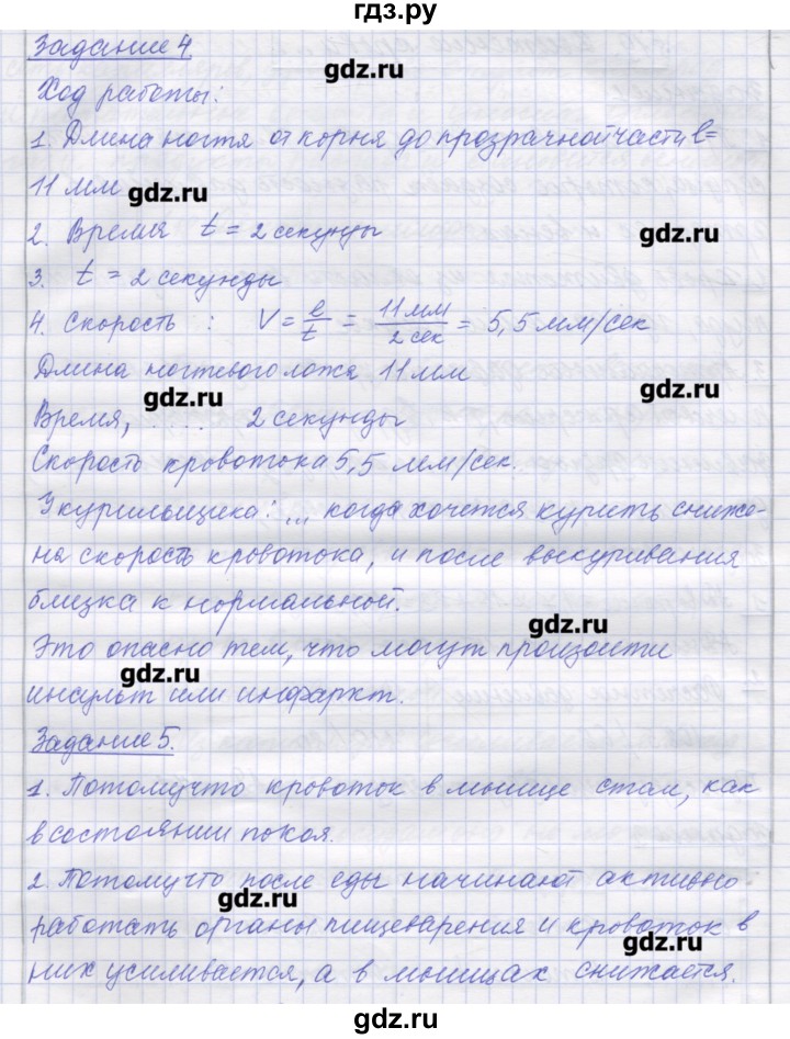 ГДЗ по биологии 9 класс Маш рабочая тетрадь (Драгомилов)  параграф - 19, Решебник